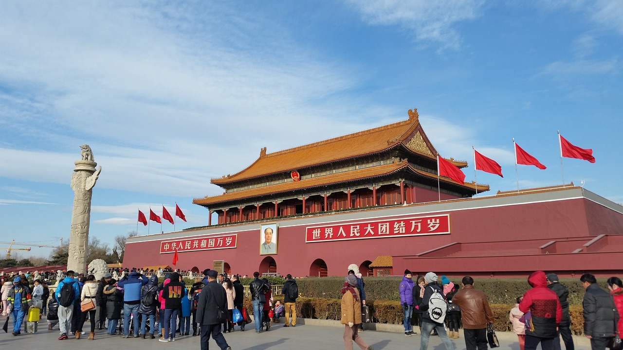 中国女排，斗志与荣耀的不屈之旅